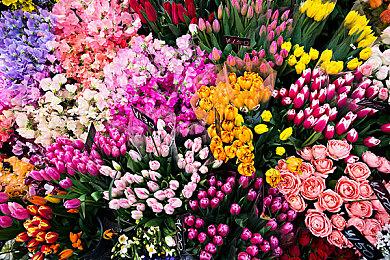 Eidos蒙特利尔想复活《杀出重围》 但没人敢接盘