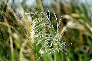 英国独立游戏开发企业获得51万英镑国家彩票资金